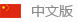 中文